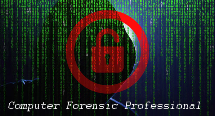 Computer Forensic Professional